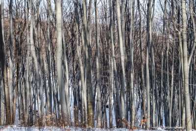 20210214134217_IMG_4828