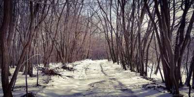 IMG_20210214_112836-1404