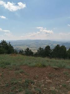 220624-3-Дивчибаре