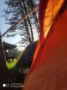 220626-2-Шатор-паук