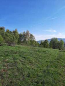 220515-2-ка-Чемернику