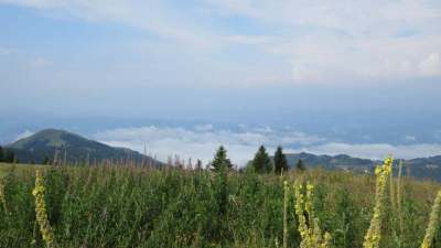 118988732_392611728392659_6874963846859619216_n