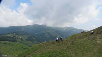 118995725_236300207761824_5728669198847424874_n